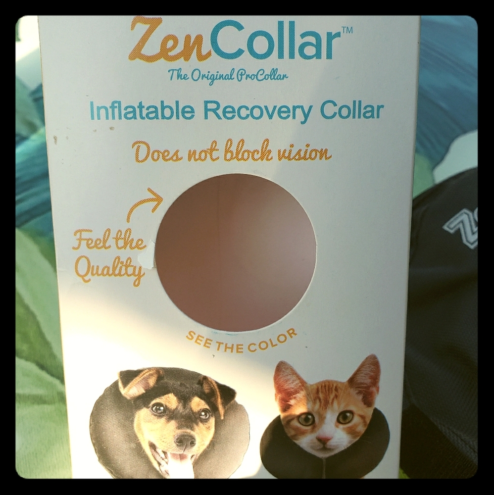 Inflatable Recovery Collar for dogs/cats
